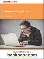 IT training c programming in linux haskins 2009 2 