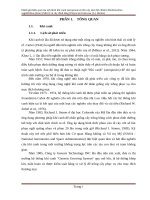 Danh gia hiệu quả của mo hinh khi canh aeroponic tren cay sam bố chinh va cay dinh lang 