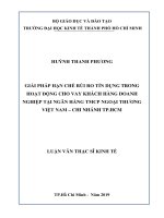 Giải pháp hạn chế rủi ro tín dụng trong hoạt động cho vay khách hàng doanh nghiệp tại ngân hàng TMCP ngoại thương việt nam – chi nhánh TP HCM 
