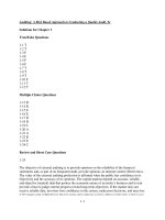 Test bank and solution manual  of auditing  9e (1) 