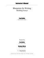 Solution manual of blueprint for wiriting bulding eassays 