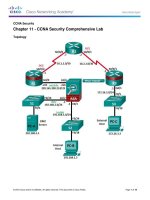 11 3 1 2   CCNA security comprehensive lab kho tài liệu bách khoa 