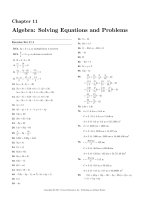 Test bank and solution algebra solving equations and problems (1) 