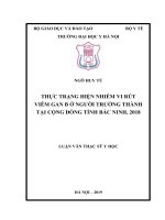 THỰC TRẠNG HIỆN NHIỄM VI RÚT VIÊM GAN b ở NGƯỜI TRƯỞNG THÀNH tại CỘNG ĐỒNG TỈNH bắc NINH, 2018 