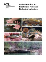 EPA an introduction to freshwater fishesas biological indicators EPA 260 r 08 016 tủ tài liệu bách khoa 