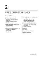 Solution manual of chemical bassic of life 