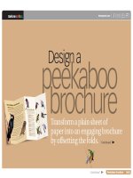 BA0602   design a peekaboo brochure tủ tài liệu bách khoa 