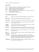 Test bank and solution of business ethics and social responsibility (1) 