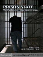  cambridge university press prison state the challenge of mass incarceration mar 2008 kho tài liệu bách khoa 
