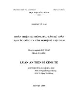 Hoàn thiện hệ thống báo cáo kế toán tại các công ty lâm nghiệp ở việt nam 