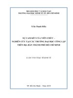 Sự cam kết của viên chức – nghiên cứu tại các trường đại học công lập trên địa bàn thành phố hồ chí minh 