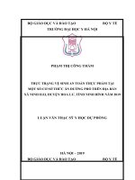 THỰC TRẠNG vệ SINH AN TOÀN THỰC PHẨM tại một số cơ sở THỨC ăn ĐƯỜNG PHỐ TRÊN địa bàn xã NINH hải, HUYỆN HOA lư, TỈNH NINH BÌNH năm 2019 