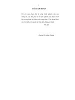 Nghiên cứu tổng hợp vật liệu MIL 101(cr) biến tính bằng oxit sắt và ứng dụng 