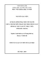 Áp dụng hình phạt đối với người chưa thành niên phạm tội theo pháp luật hình sự việt nam từ thực tiễn tỉnh sóc trăng tt