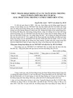 THỰC TRẠNG HOẠT ĐỘNG của các NGÂN HÀNG THƯƠNG mại cổ PHẦN TRÊN địa bàn TP HCM GIẢI PHÁP TĂNG TRƯỞNG và PHÁT TRIỂN bền VỮNG 