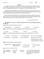 Đề ôn tập lớp 2- toan