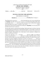 Thư bảo lãnh thực hiện hợp đồng song ngữ