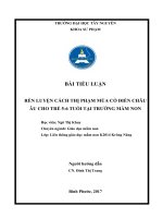 REN LUYEN CACH THỊ PHAM MUA CO DIEN CHAU AU  CHO TRE 5-6 T