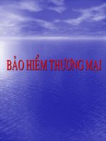 Bài giảng Bảo hiểm thương mại