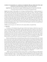 NGHIÊN cứu ẢNH HƢỞNG của 1 METHYLCYCLOPROPENE đến QUÁ TRÌNH SINH TỔNG hợp ETHYLENE của QUẢ bơ (PERSEA AMERICANA) SAU THU HOẠCH 