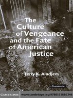  cambridge university press the culture of vengeance and the fate of american justice jan 2008 kho tài liệu bách khoa 