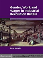 cambridge university press gender work and wages in industrial revolution britain jun 2008 kho tài liệu bách khoa 