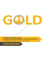 GOLD-2020-POCKET-GUIDE-FINAL-pgsized-wms