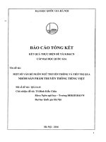 Một số vấn đề ngôn ngữ truyền thông và tiếp thị qua nhóm sản phẩm truyền thông tiếng việt 