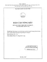 Mô phỏng và mô hình hóa các pha trong hệ lượng tử kích thước  nano và khả năng ứng dụng trong thông tin lượng tử 
