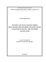 Tổ chức sản xuất chương trình phát thanh, truyền hình với nước ngoài tại đài phát thanh   truyền hình quảng ninh 