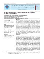 TỰ ĐỘNG NHẬN DẠNG một số LOẠI sâu BỆNH TRÊN lá bưởi sử DỤNG CÔNG NGHỆ ẢNH 