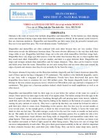 39  2018 ielts1 practise minitest17 reading naturalworld 