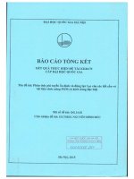 Phân tích phi tuyến ổn định và động lực học của các kết cấu vỏ vật liệu chức năng FGM có hình dáng đặc biệt 