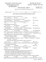 Đề kiểm tra giữa kỳ 1 hóa học 12 năm 2018 2019 trường quốc tế á châu TP  HCM 