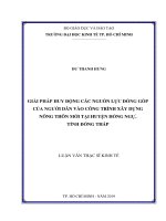 Giải pháp huy động các nguồn lực đóng góp của người dân vào công trình xây dựng nông thôn mới tại huyện hồng ngự, tỉnh đồng tháp 