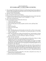 Hình thức trình bày báo cáo đồ án  luận văn