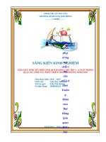 SÁNG KIẾN KINH NGHIỆM  giáo dục tình yêu biển đâỏ cho trẻ 5  6 tuổi