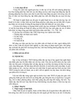 Một số kinh nghiệm dạy học nâng cao hứng thú cho học sinh học môn mĩ thuật thông qua phân môn vẽ trang trí 