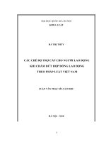 Các chế độ trợ cấp cho người lao động khi chấm dứt hợp đồng lao động theo pháp luật Việt Nam