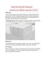 Gạch bê tông khí chưng áp autoclaved cellular concrete (AAC)