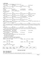 Hóa hữu cơ lớp 12 ôn thi THPTQG 2020   lý thuyết, bài tập, bài kiểm tra amino axit có lời giải chi tiết