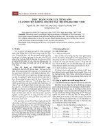 12nguyen-thi-lanh-pham-thi-luong-giang-nguyen-thi-phuong-thao