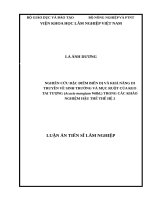 Nghiên cứu đặc điểm biến dị và khả năng di truyền về sinh trưởng và mục ruột của keo tai tượng (acacia mangium willd ) trong các khảo nghiệm hậu thế thế hệ 2 