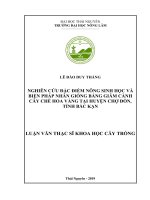 (Luận văn thạc sĩ) Nghiên cứu đặc điểm nông sinh học và biện pháp nhân giống bằng giâm cành cây Chè Hoa vàng tại huyện Chợ đồn, tỉnh Bắc Kạn