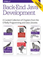 IT training back end java development khotailieu 