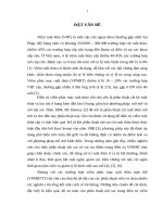 NGHIÊN cứu kết QUẢ PHẪU THUẬT nội SOI TRONG điều TRỊ VIÊM PHÚC mạc TOÀN THỂ DO VIÊM RUỘT THỪA 