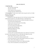 Tổ chức dạy học hợp tác nhóm trong môn sinh học 10 nhằm phát triển năng lực học sinh 