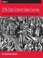 IT training 2016 data science salary survey khotailieu 