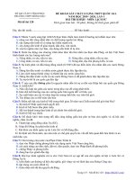 Đề KSCL THPT quốc gia 2020 lần 1 môn lịch sử trường đồng đậu vĩnh phúc 