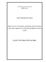 Pháp luật về người lao động nước ngoài làm việc trong các doanh nghiệp tại Việt Nam